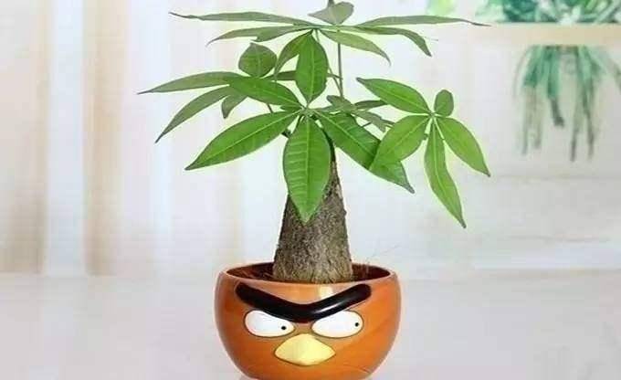 e88f2785e07145b3b9a1debf5eda2dd9.jpeg