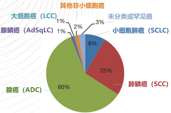 记住肺癌细分病理类型的基因突变小偏好