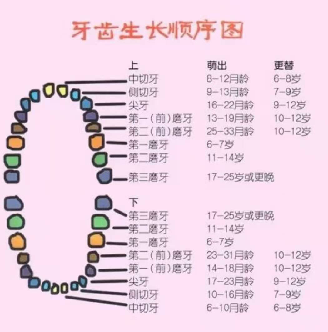 七上九下小说元浅免费阅读 手机版哪个好