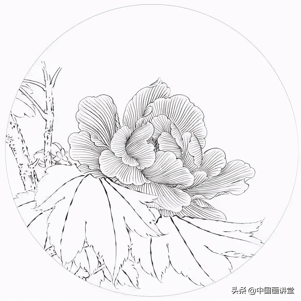 工笔白描知识及线描要求图解