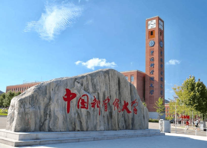 大学收入排名2020_2020大学生专业薪资排名一览(2)