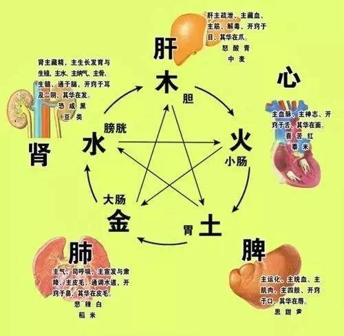 什么叫相互依存 9cd652de0e274d079383cb78c456576a.jpeg