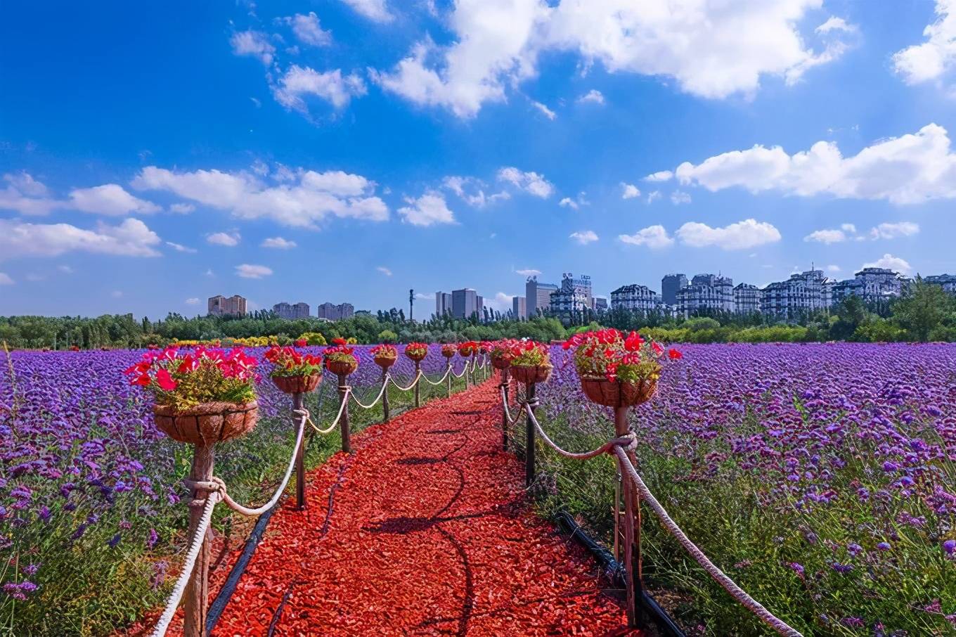 乌海旅游攻略景点必去 乌海旅游攻略 乌海旅游景点大全景点排名榜