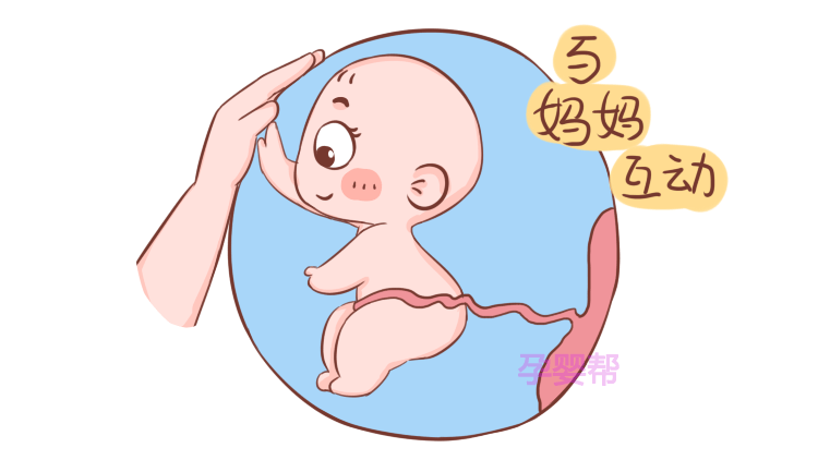 实化剧场-落字的花蛇女 玩家文档