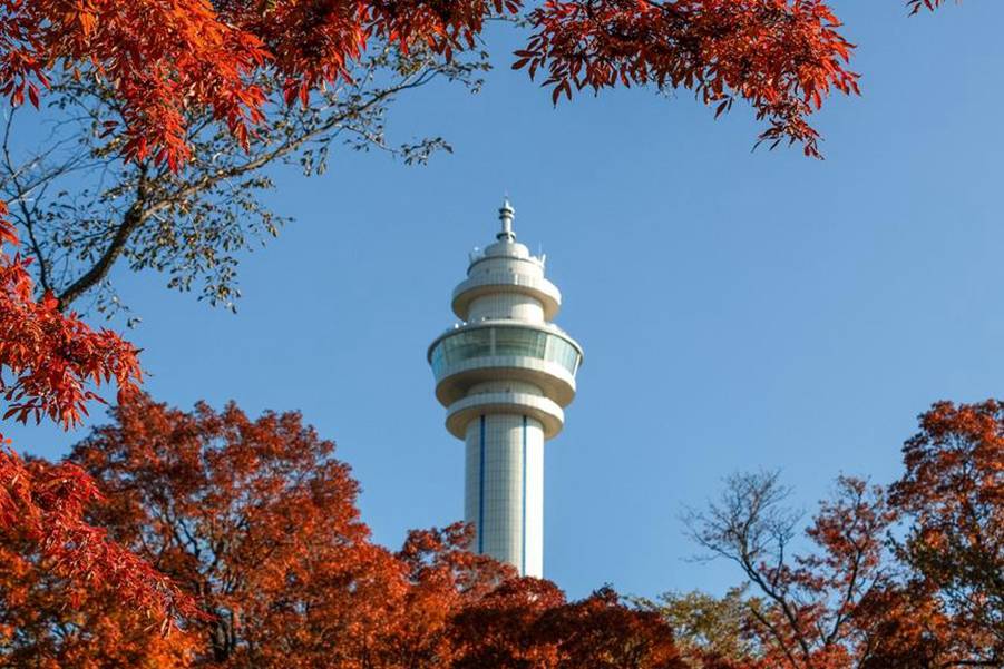 南宁5月gdp2020_南宁地铁2020规划图(3)