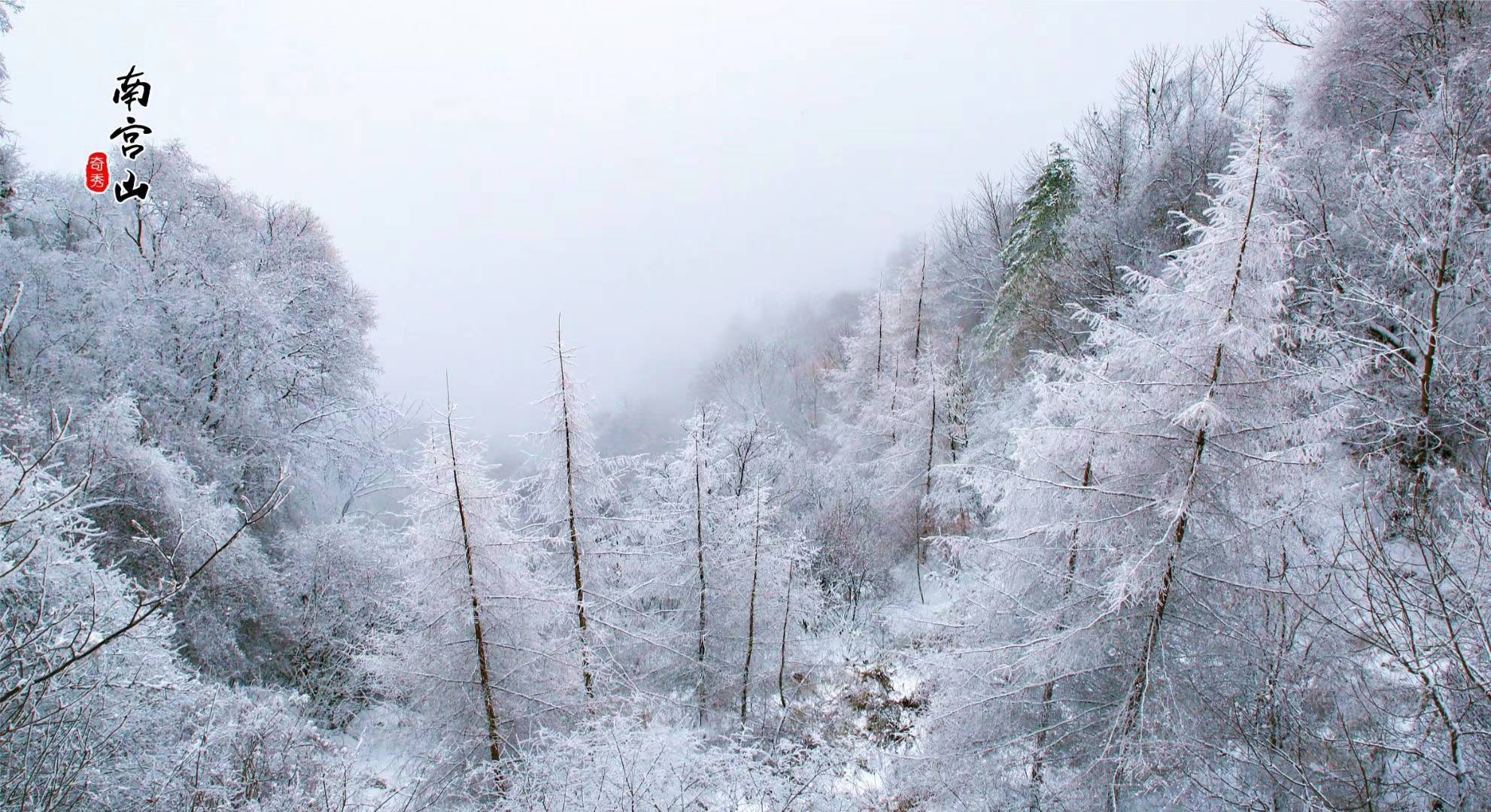 冬雪满山来,触处似花开,赴一场浪漫的南宫山雪景
