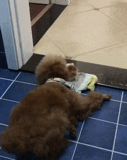 4c69c98773af4ec68ddbe61d931f0513.gif
