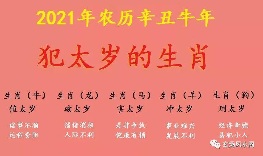 姜群：2021辛丑牛年犯太岁的生肖（牛，龙，马，羊，狗）及太岁年注意