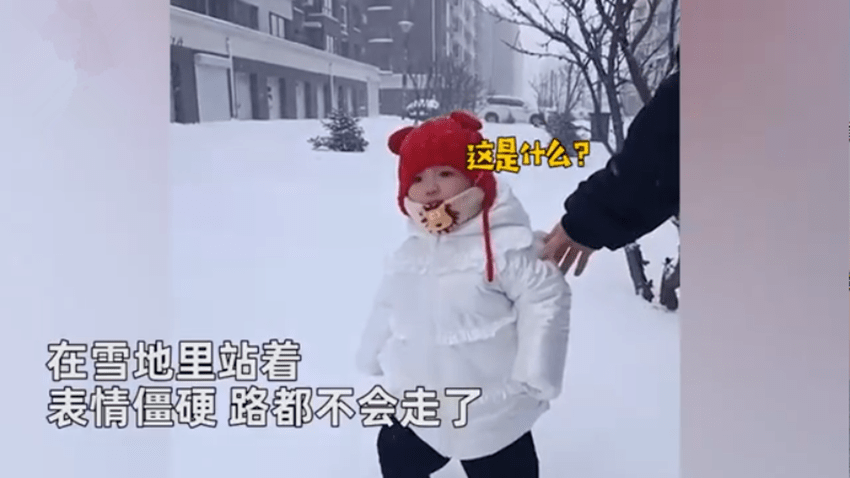 14个月大的萌娃第一次见到雪的小表情火了，网友：也太可爱了吧！