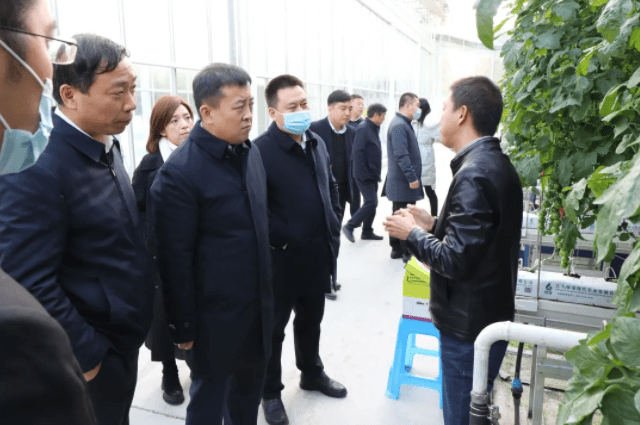 陕西西咸新区党工委委员总规划师陈默一行到新港农业进行调研考察
