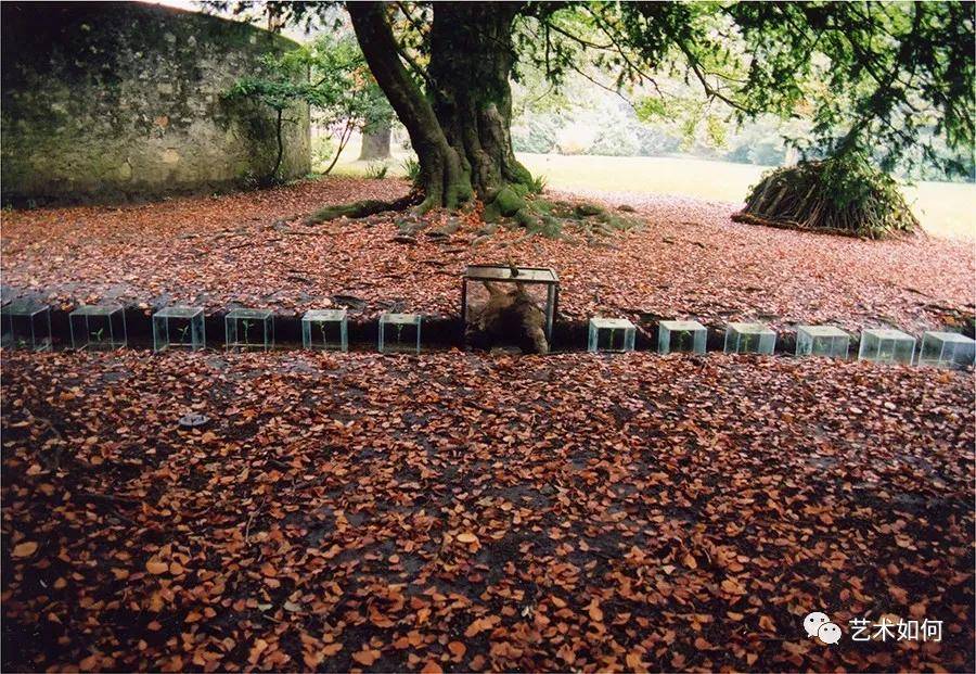 意大利藏家想收藏他的手稿，他却拒绝了......