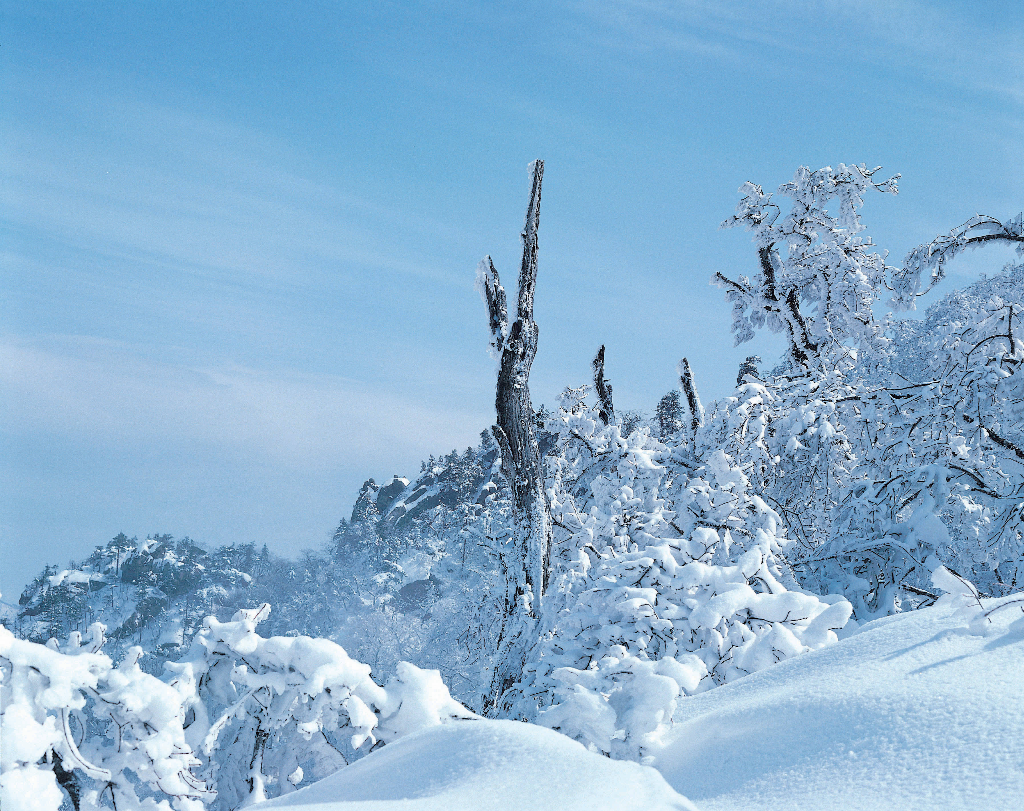 节气—#大雪