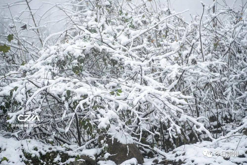 大雪!崇州雪大!