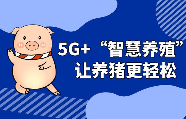 金年会电子官方网站|
5G+“智慧养殖” 让养猪更轻松(图1)