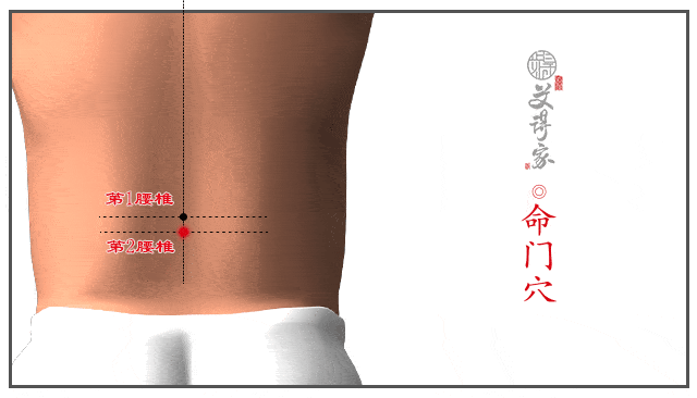 怎样能瘦胯骨 71825ae8b59644c3848b4353e01cec28.gif