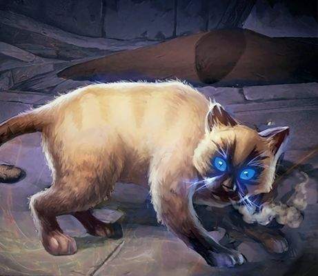 《炉石传说：揭秘酒馆战棋最神秘猫咪比格沃斯，为何他能苟到最后？》