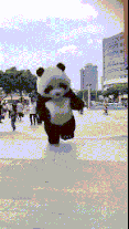 搞笑gif段子:不好意思打扰了,你继续!