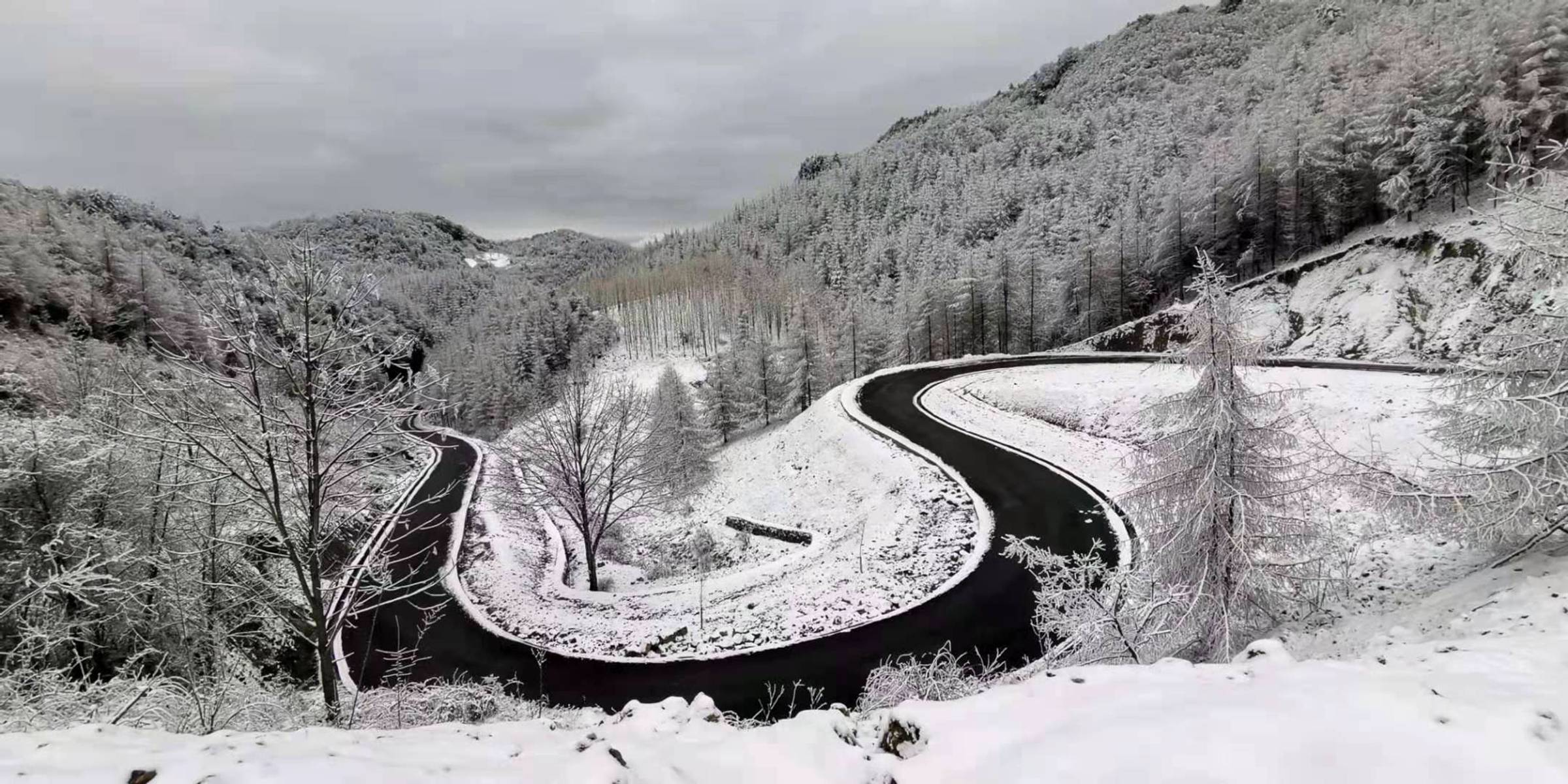 绝美雪景,朝天李家披上洁白羽衣宛如仙境,你想和谁一起去?