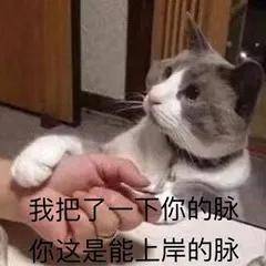 934e00ace62342298866eefefcf0d89e.jpeg