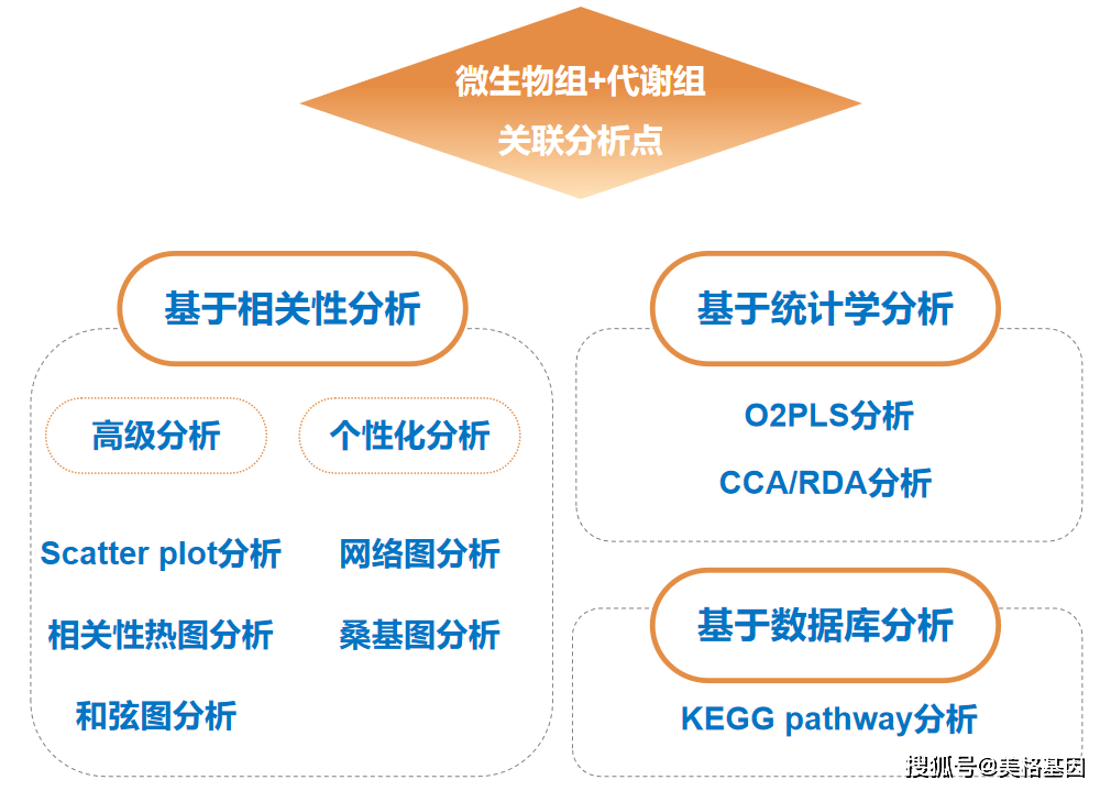 微生物组 代谢组联合分析解决方案按基于相关性分析,基于统计学分析