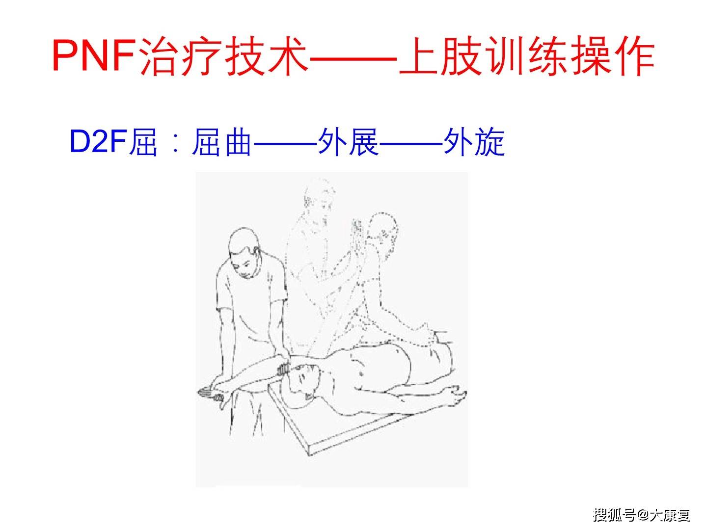 人体运动的动作原理是什么(3)