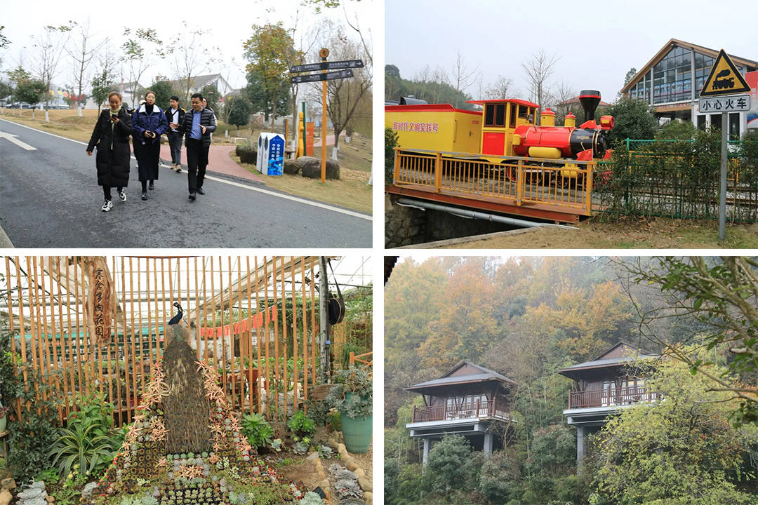 参观了鲁家村两山学院,游客中心,农产品展示馆,特色民宿,多肉农场等地