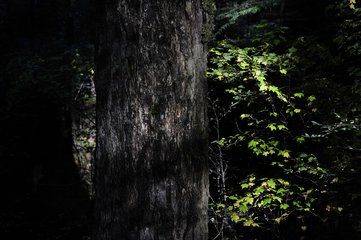 e095cf166a0447b9a7e4d063b6147504.jpeg