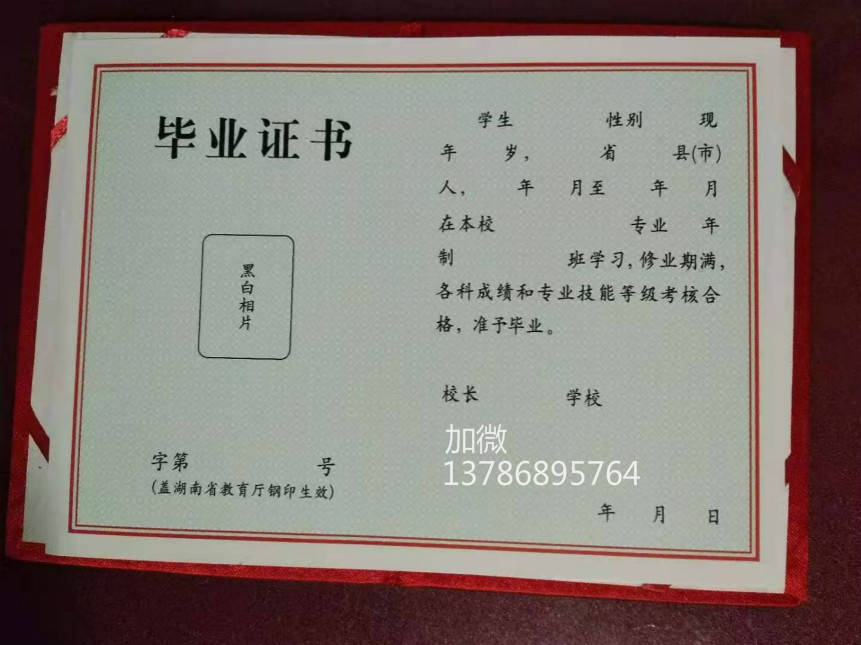 你会发现,你周围越来越多的人都想着出国,拿国外的学历和毕业证书!