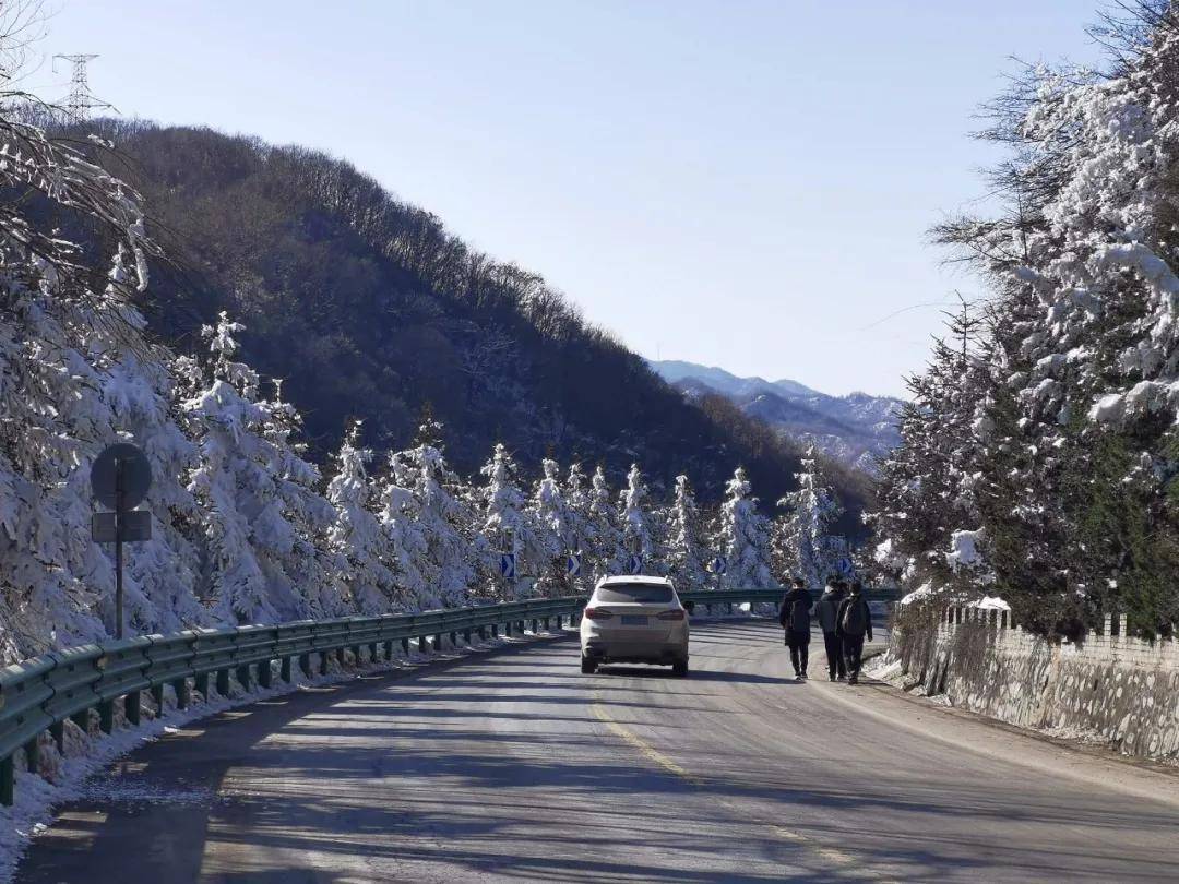 宝鸡这里雪景迷人,岭南公园成网红打卡胜地!_秦岭