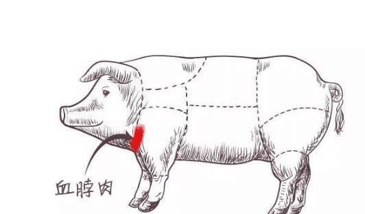 俗语"割肉不割槽头肉,买鱼不买鲫壳鱼"是啥意思?长见识了