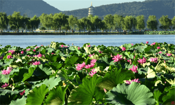 袁志鹏||仲春游西子湖赋（图8）