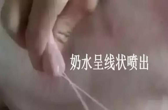 母猪奶水好不好就用这3招轻松识别母猪奶水好与孬