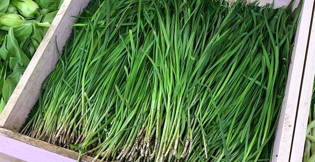 吃不完的韭菜,切记别直接放冰箱!菜农教我土方法,15天照样新鲜