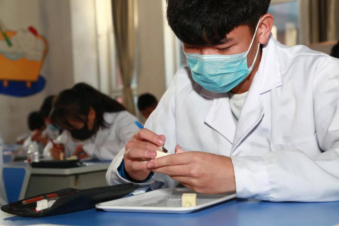 怎么学习口腔技术 8336926513c84e2d8b3e35a04d6325e6.jpeg