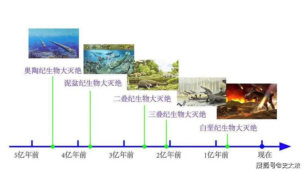 第一次大灭绝:奥陶纪大灭绝这次物种灭绝是由全球气候变冷造成的.