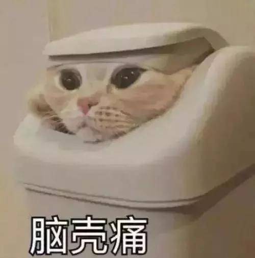 风在吼，马在叫，辅导作业的妈妈在咆哮丨教育部叫停家长批改作业！(图7)