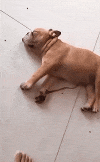 你都睡半天了,我叫醒你怎么了?你还不愿意!