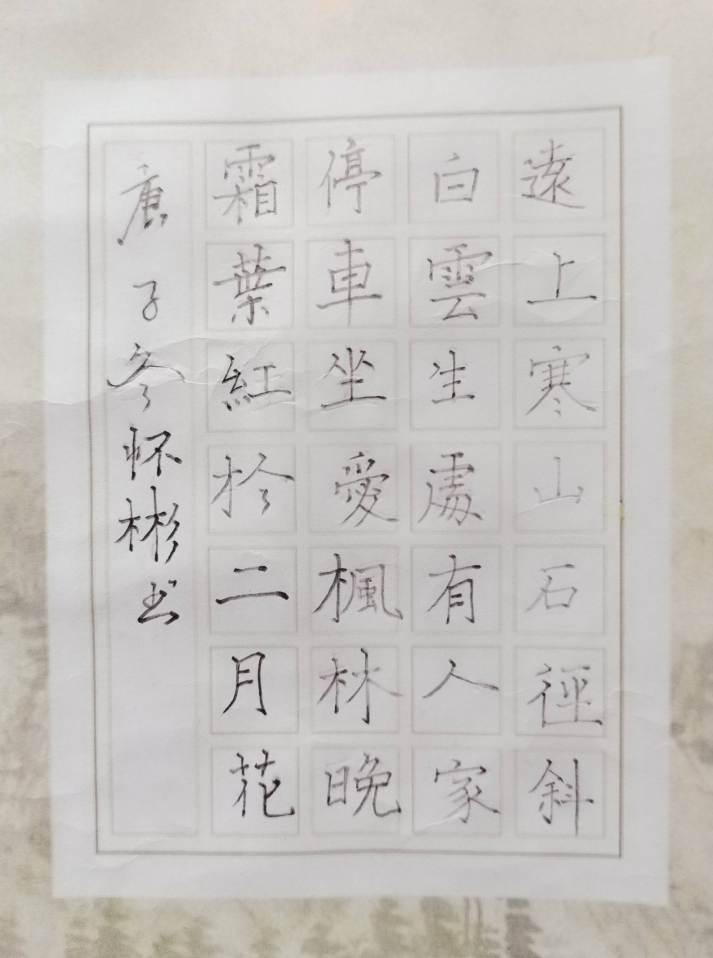 什么青彬成语_什么是青驰菊(3)