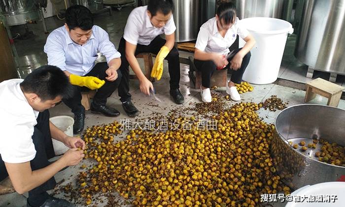 脱贫致富酒刺梨酒怎么酿电加热酿酒设备酿造刺梨酒技术