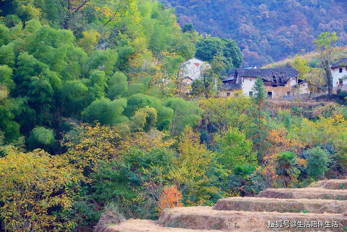 县城简谱_儿歌简谱