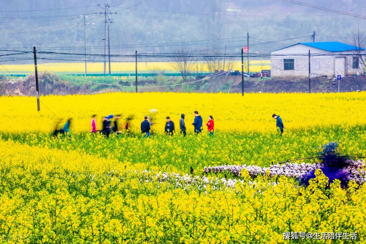 县城简谱_儿歌简谱