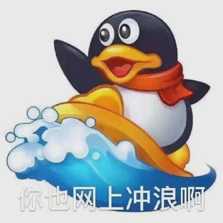 你也网上冲浪啊