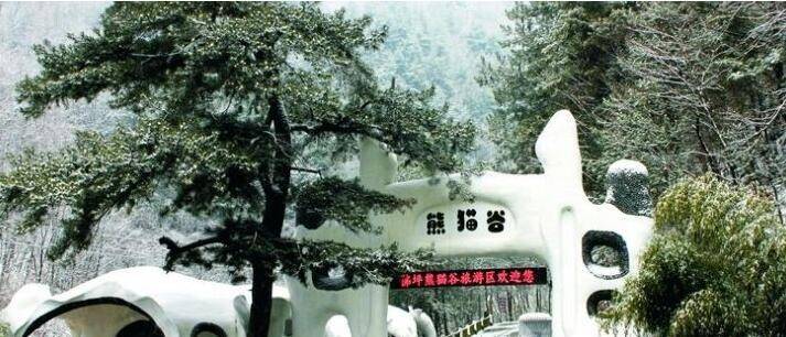 佛坪县人口为啥这么少_佛坪县委书记李芳照片(2)