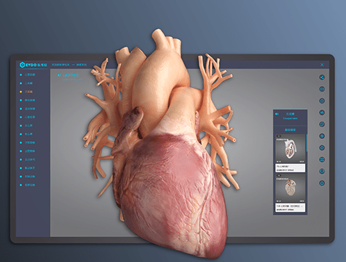 解剖学|医维度3d人体解剖app，改变医学的一款app