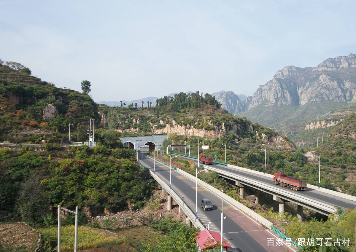 龙柏人口_龙柏盆景