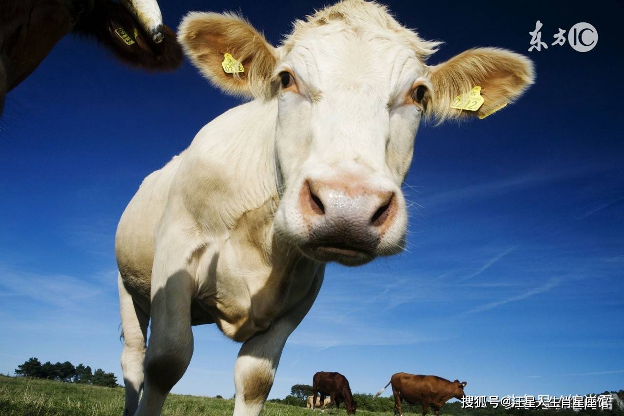 e898a56f3281464baaa34d265d04dada.jpeg
