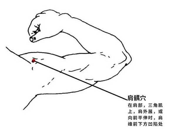1410c52518324b16928257d6718868b0.jpeg