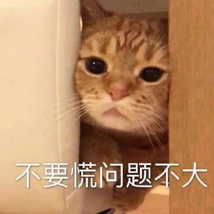3cf2a97682ba45cfa29adb6b5d47f02a.jpeg