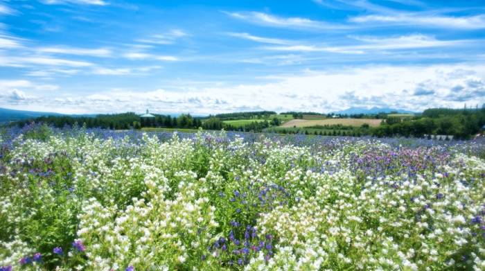 假货频发的直播电商，难改家电消费趋势转移进程！-家电圈官网