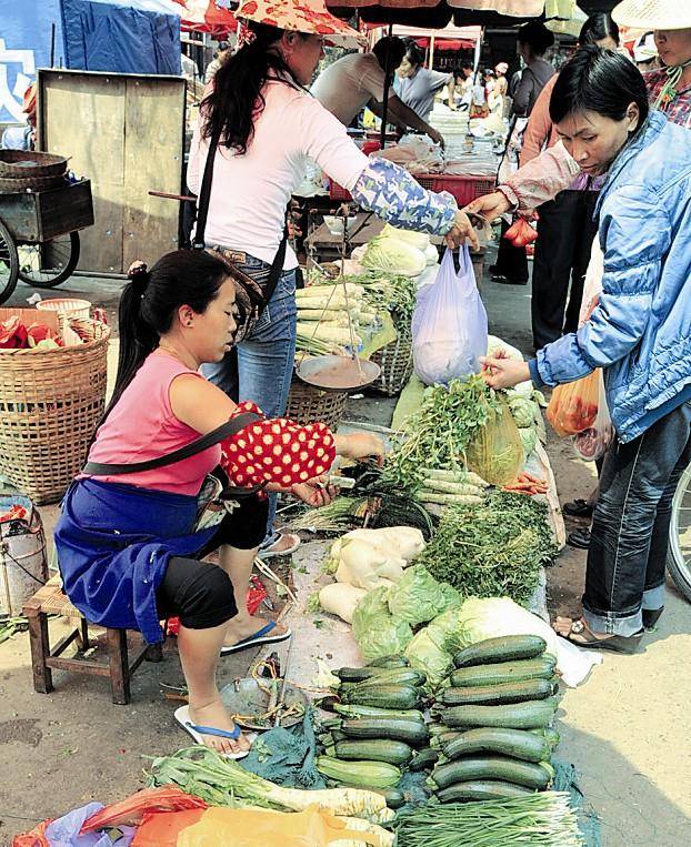 根搭菜怎么吃_臭汉菜杆怎么吃(2)